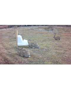 Philproof ® Rabbit Bait Station
